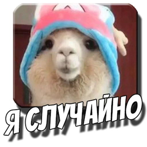 😇 Стикер «Альпаки» для Telegram