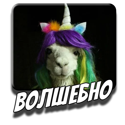 💫 Стикер «Альпаки» для Telegram