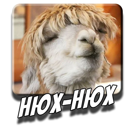 😋 Стикер «Альпаки» для Telegram
