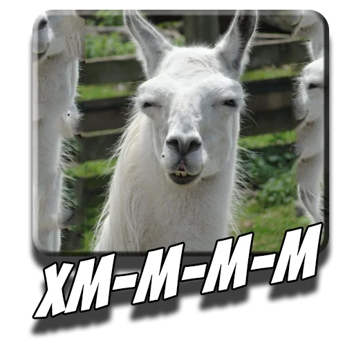 😏 Стикер «Альпаки» для Telegram