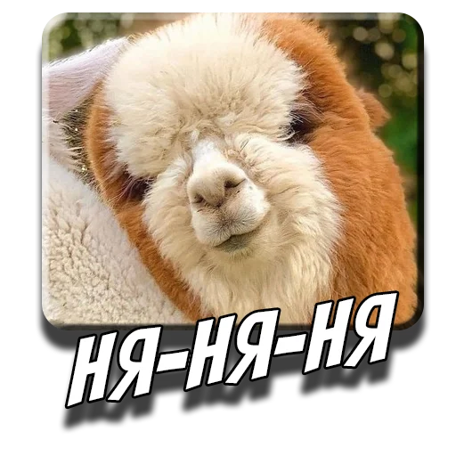 😜 Стикер «Альпаки» для Telegram