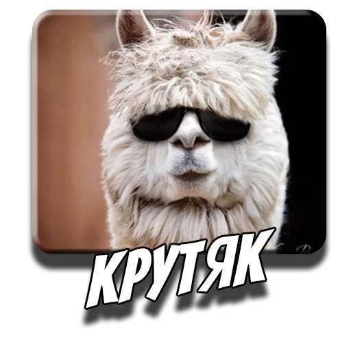 😎 Стикер «Альпаки» для Telegram