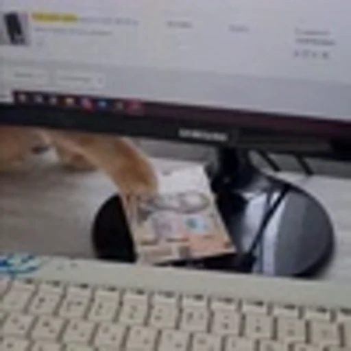 🤩 Эмодзи «Четырёх лапые братья» для Telegram