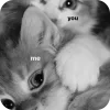 🫥 Эмодзи «dasssha» для Telegram