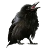 🤩 Эмодзи «Game of Thrones» для Telegram