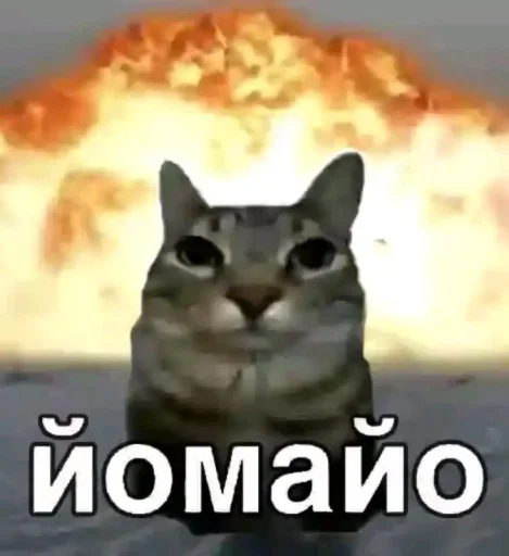 🤩 Стикер «pack f 8fa 7» для Telegram