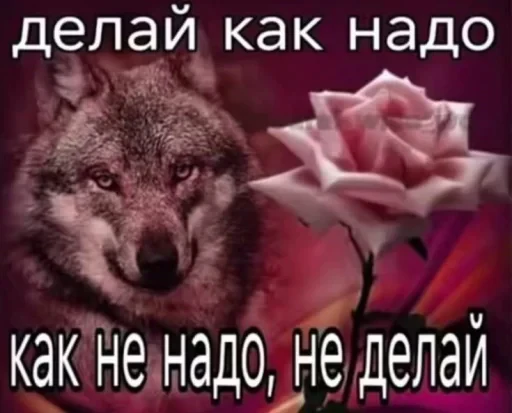 🤩 Стикер «pack f 8fa 7» для Telegram