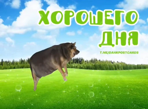 ☺️ Стикер «Гифки» для Telegram