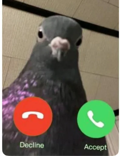 🤩 Стикер «Котишки» для Telegram