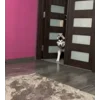 Стикер 25 Сабаки