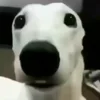Стикер 31 Сабаки