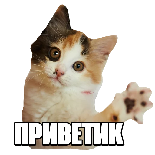 🖐 Стикер «Пак для калажей» для Telegram