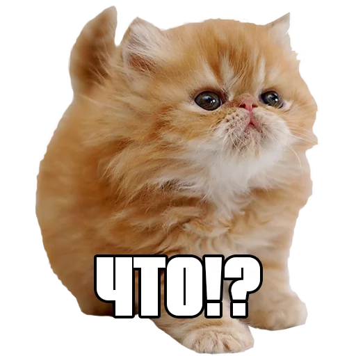 ❓ Стикер «Пак для калажей» для Telegram