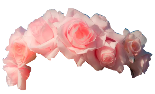 🌹 Стикер «Пак для калажей» для Telegram