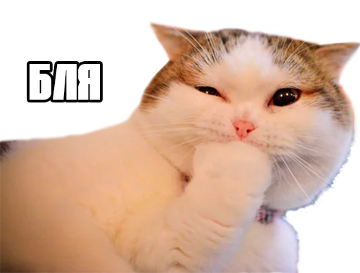🤔 Стикер «Пак для калажей» для Telegram