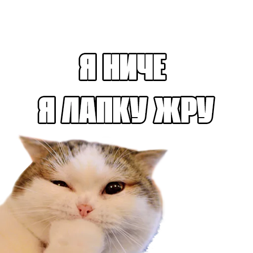 😶 Стикер «Пак для калажей» для Telegram