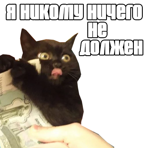 💰 Стикер «Пак для калажей» для Telegram