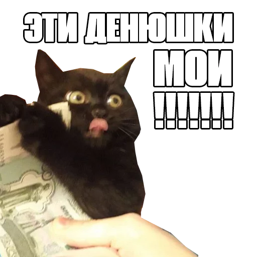 💸 Стикер «Пак для калажей» для Telegram