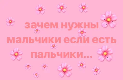 🤨 Стикер «Пак без мужиков» для Telegram
