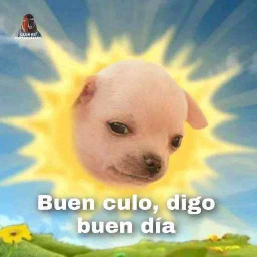 🌞 Стикер «pack de cloroformo» для Telegram