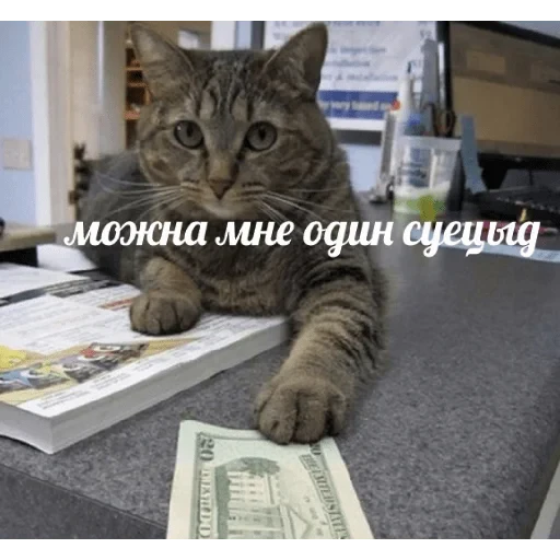 💵 Стикер «casualsongsss» для Telegram