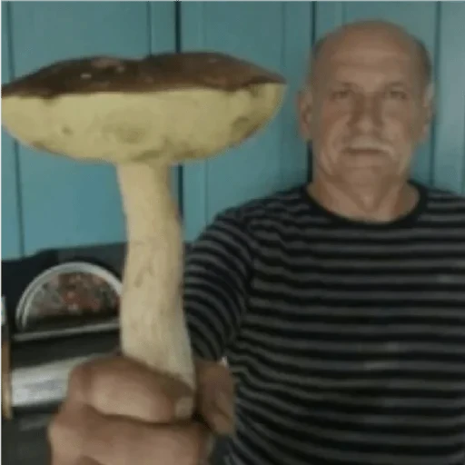 🍄 Стикер «casualsongsss» для Telegram