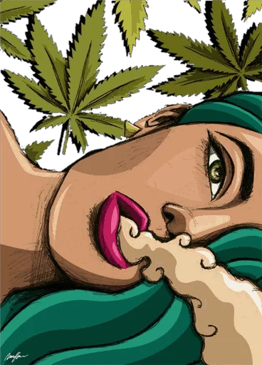 🍁 Стикер «-ALIREZA FEDERAL【2】» для Telegram
