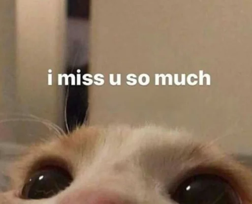 🥺 Стикер «милые пикчи» для Telegram