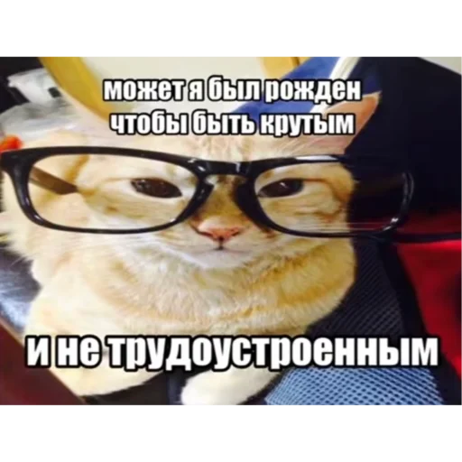 😎 Стикер «милые пикчи» для Telegram