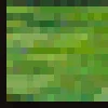 🏞️ Эмодзи «Paintings Minecraft» для Telegram