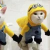 Стикер 20 Парные Котята