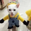 Стикер 19 Парные Котята
