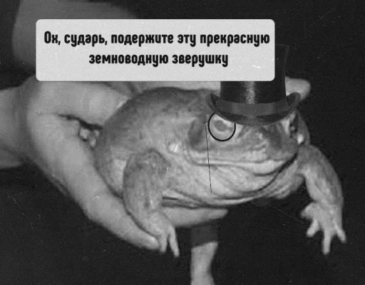 🐸 Стикер «Культурные стикеры» для Telegram