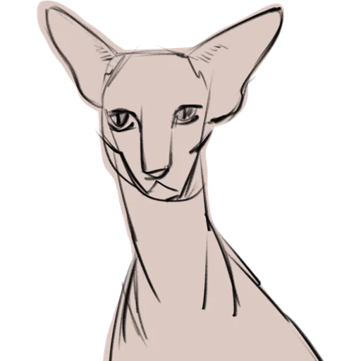 😕 Стикер «Mad cats» для Telegram