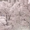 💗 Эмодзи «pale aesthetic» для Telegram