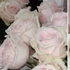 💗 Эмодзи «pale aesthetic» для Telegram