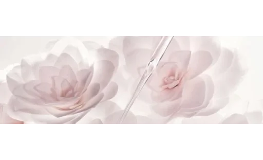 🎀 Стикер «pale aesthetic» для Telegram