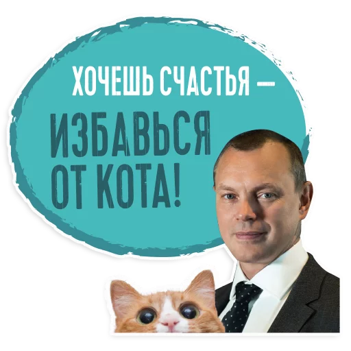 🙀 Стикер «Palienko» для Telegram