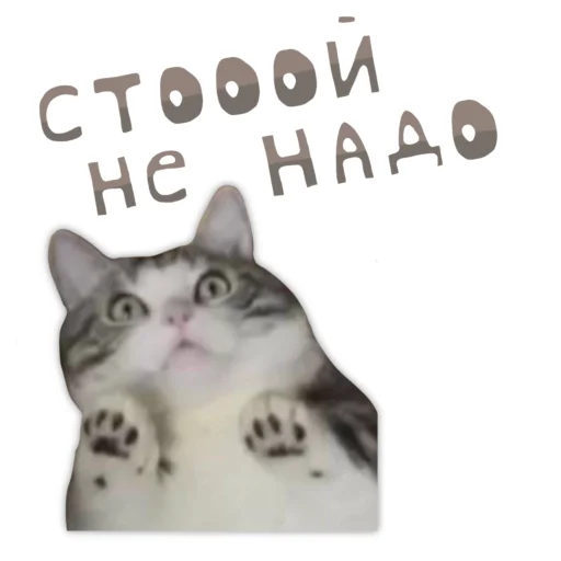 🫨 Стикер «Panchan» для Telegram