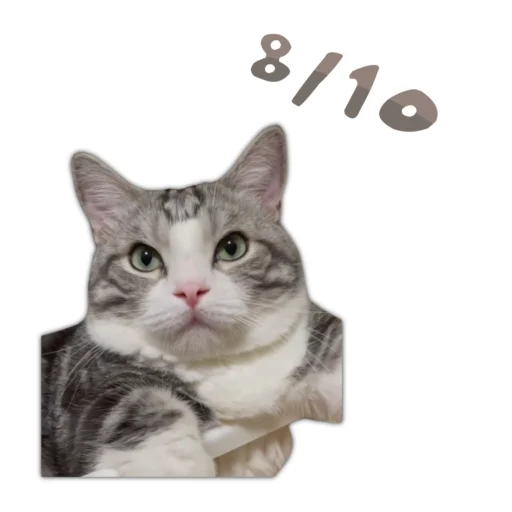 ☺️ Стикер «Panchan» для Telegram