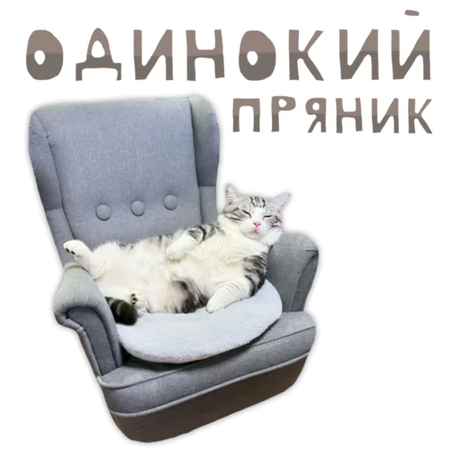 💎 Стикер «Panchan» для Telegram