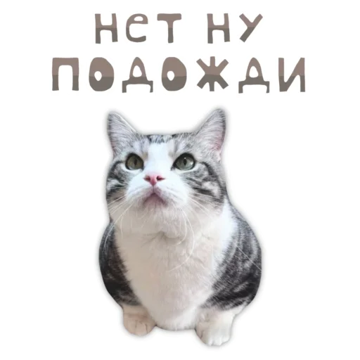 🥸 Стикер «Panchan» для Telegram