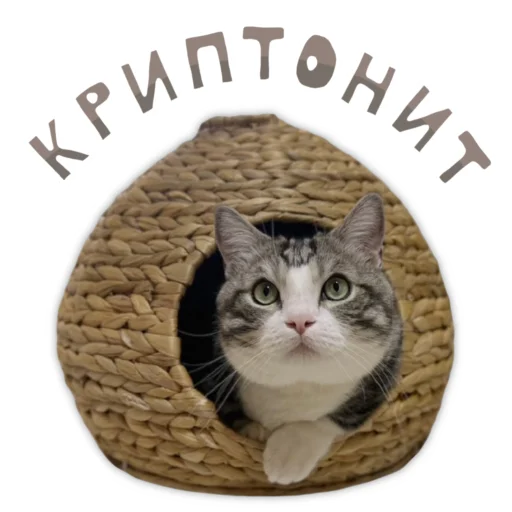 💎 Стикер «Panchan» для Telegram
