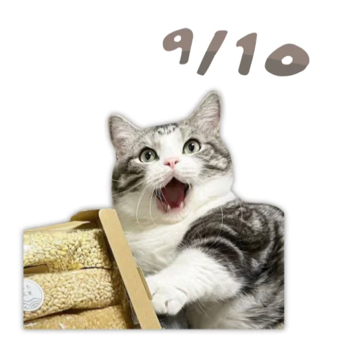 😲 Стикер «Panchan» для Telegram