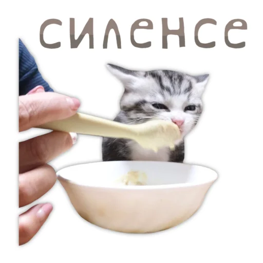 💎 Стикер «Panchan» для Telegram