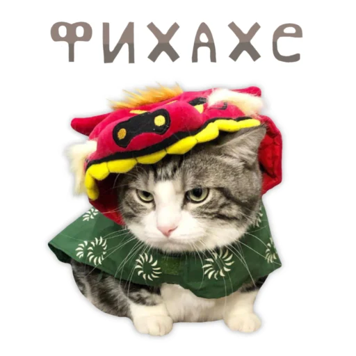 💎 Стикер «Panchan» для Telegram