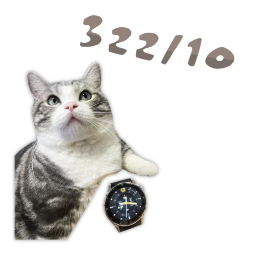 🤣 Стикер «Panchan» для Telegram