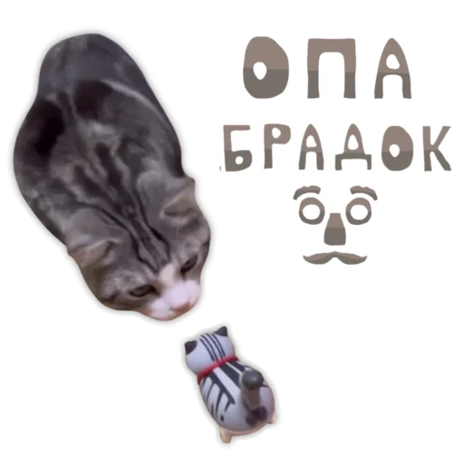 🥸 Стикер «Panchan» для Telegram