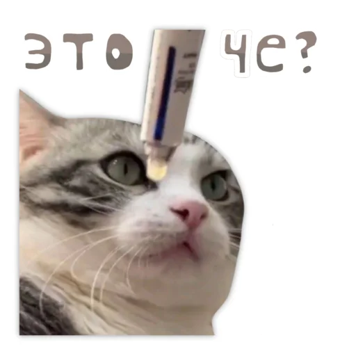🤨 Стикер «Panchan» для Telegram
