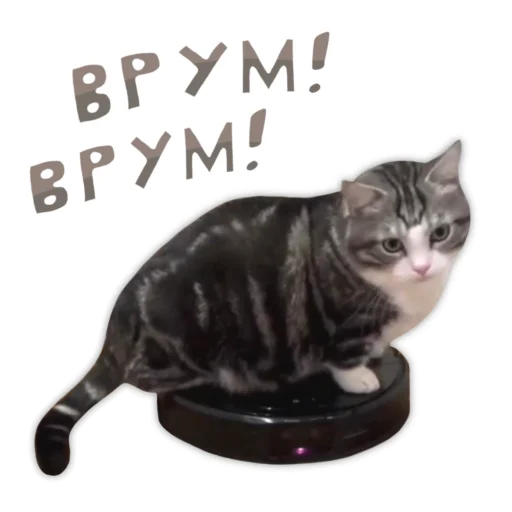 🚗 Стикер «Panchan» для Telegram